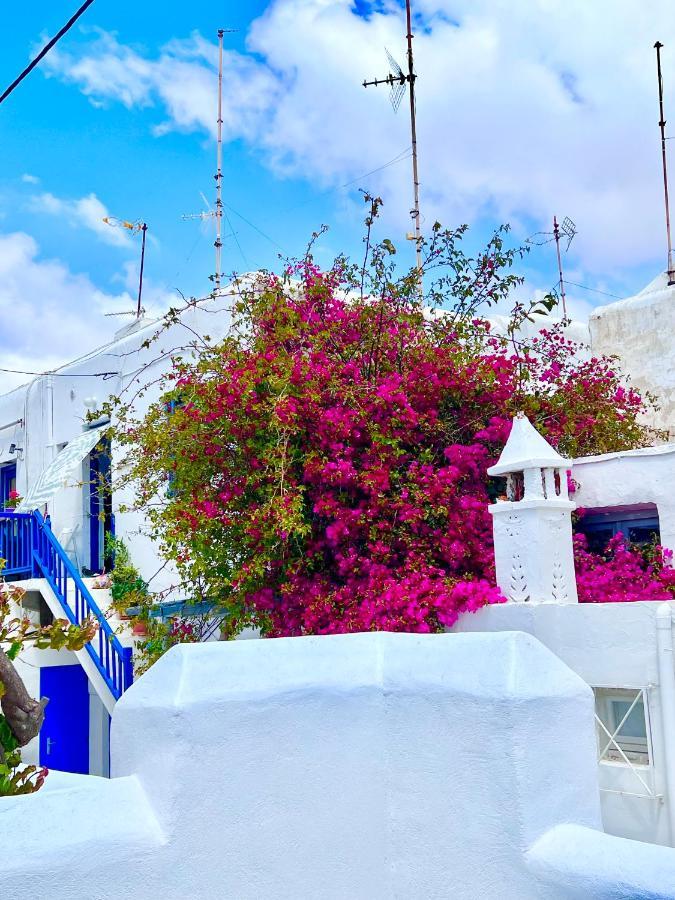 Provis Rentals Suite Next To The Mills In Mykonos Town Kültér fotó